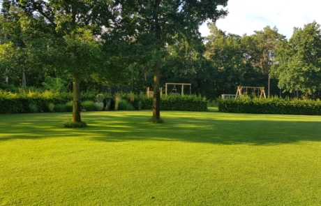 Gepflegter Garten bei Sonnenschein