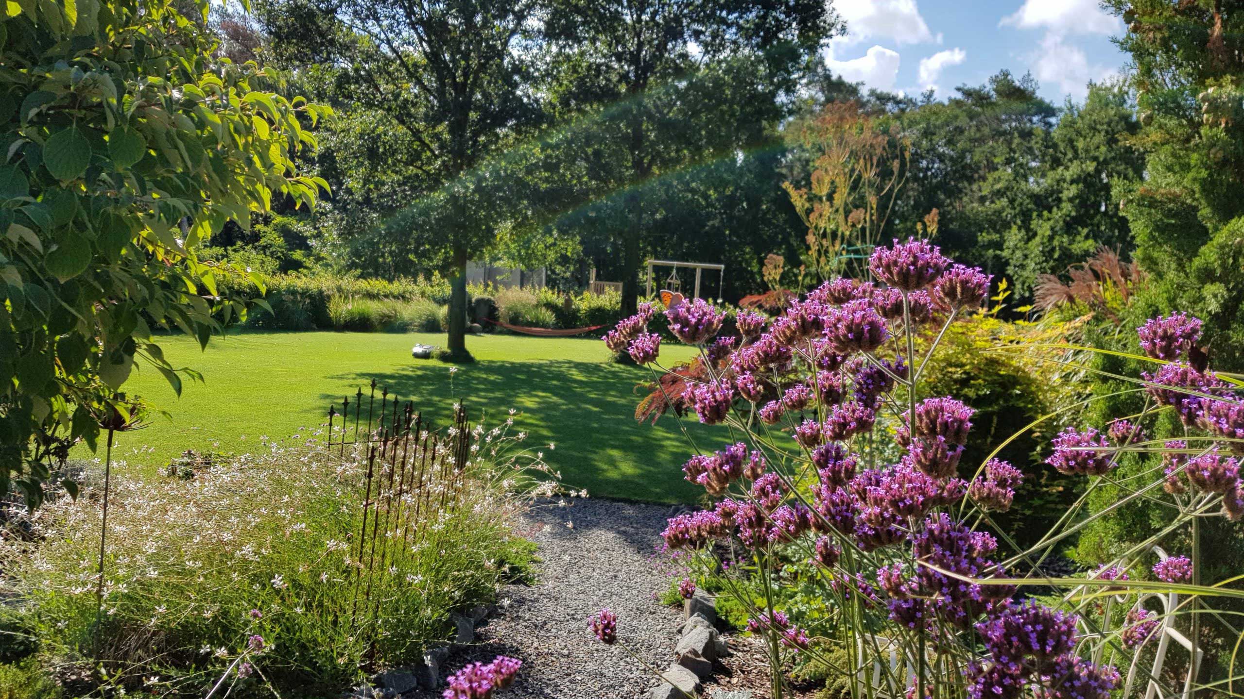 Beete bei Sonnenschein