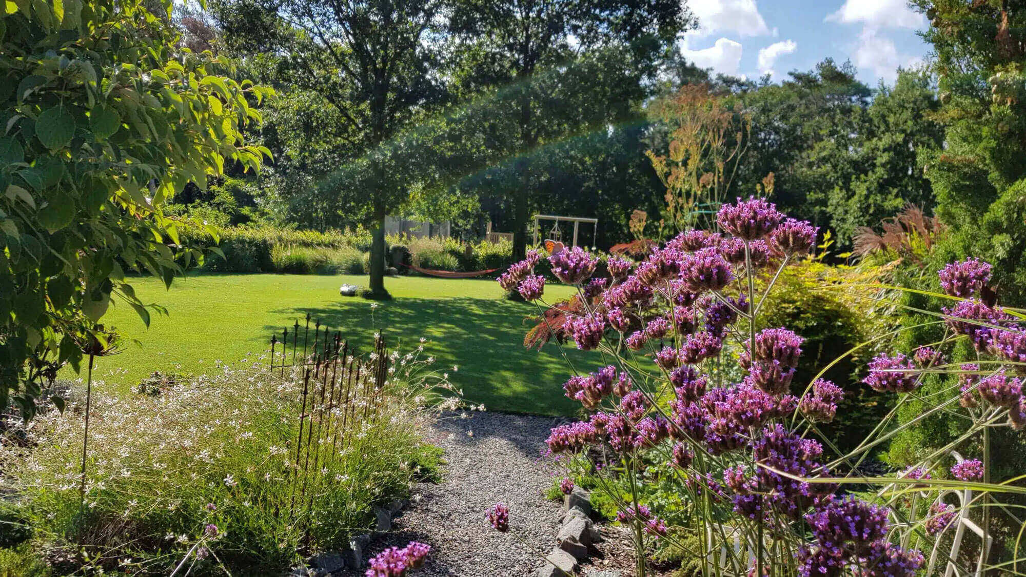 Blühender Gartenweg mit lila Blumen und grünem Rasen.