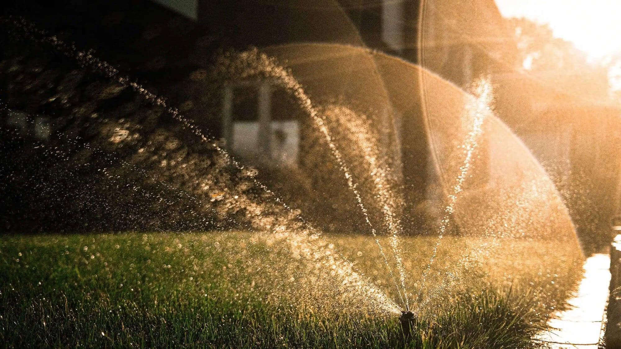 Garten-Bewässerungssystem im Einsatz, Wassertropfen glitzern im Sonnenlicht